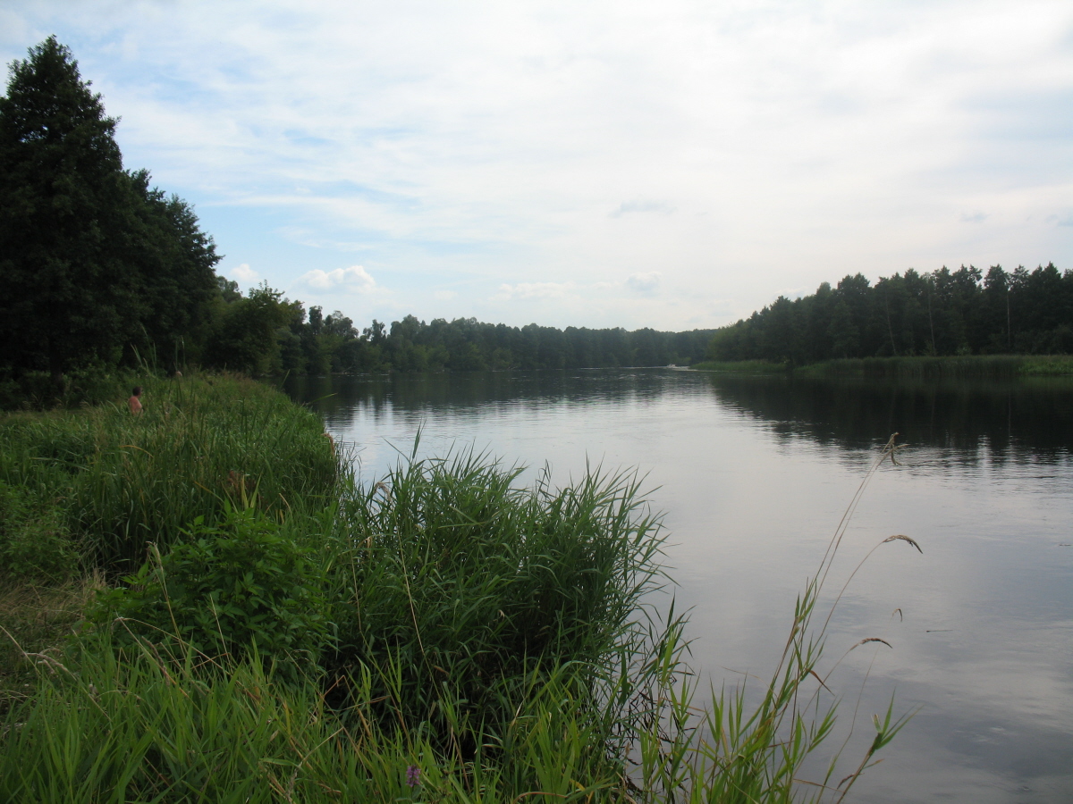 Rzeka Narew