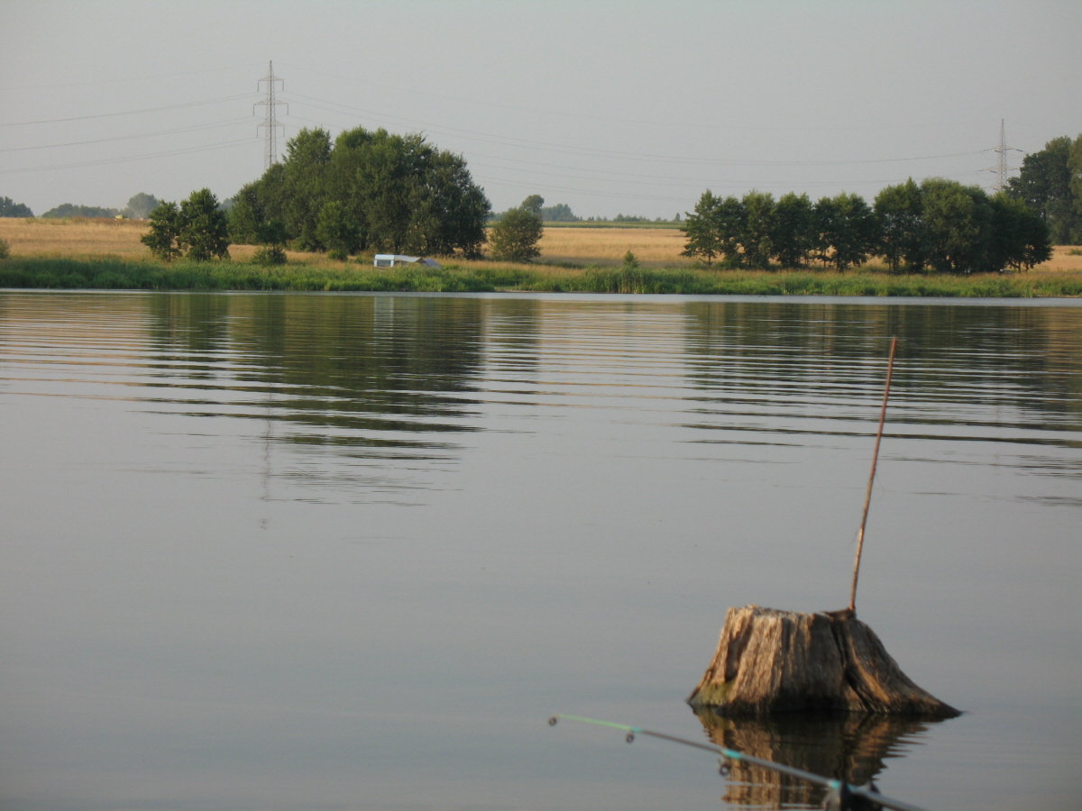 Poręba(łąka)
